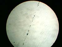 А так в микроскоп выглядят царапины